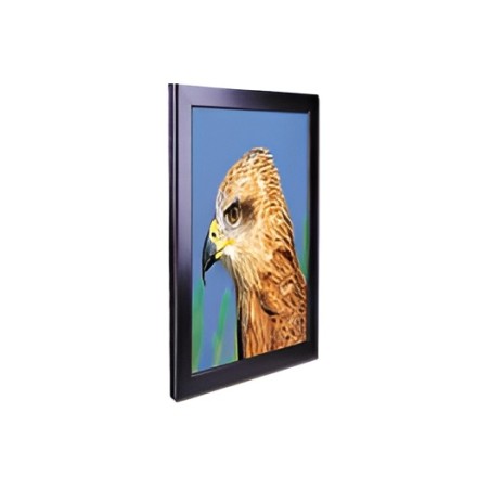 Non-illuminated frame